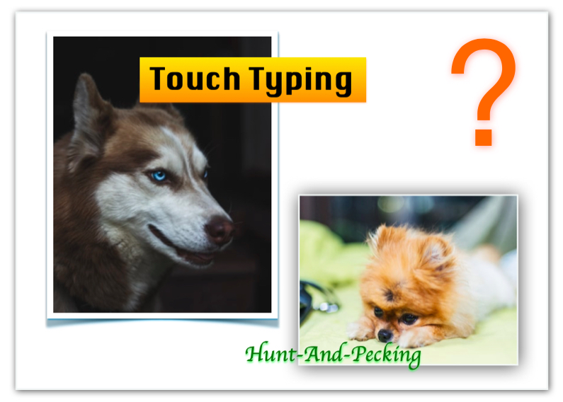 Touch Typing Question Dogs ViaTyping
